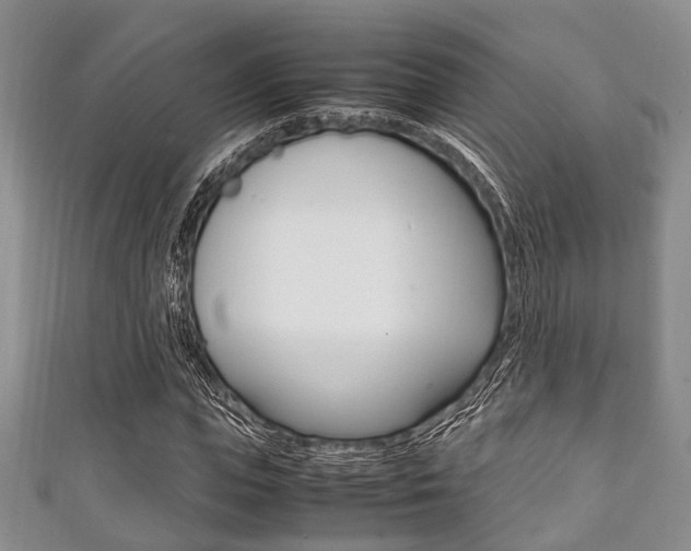 X0000111920823200907271007