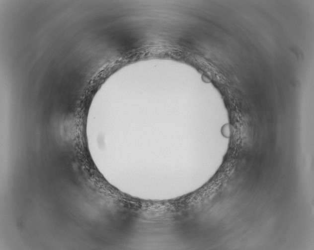 X0000111920824200907271007