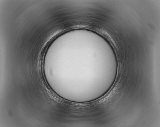 X0000111920827200907271007