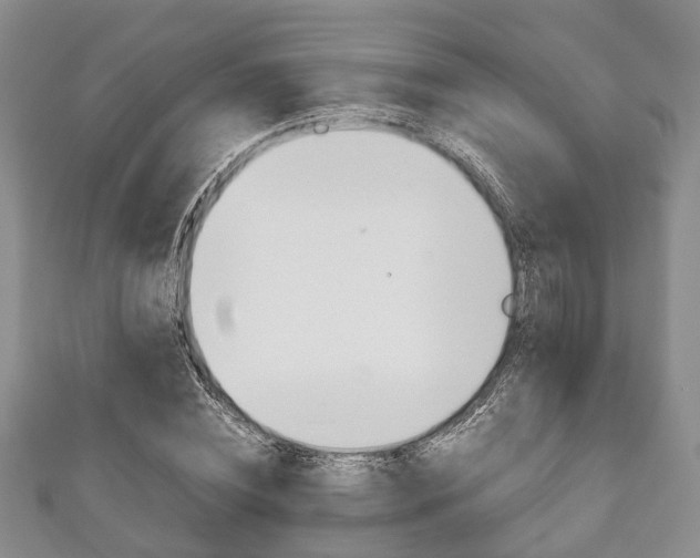 X0000111920828200907271007