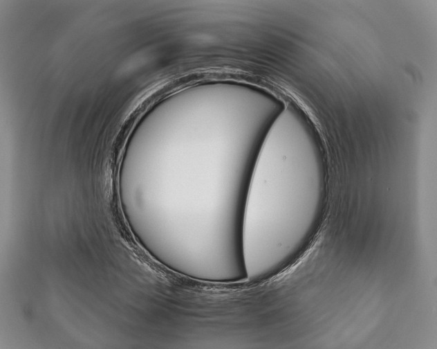 X0000111920829200907271007