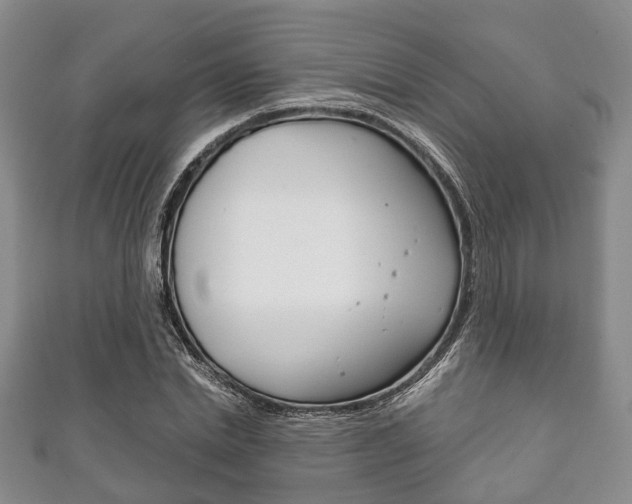 X0000111920830200907271007