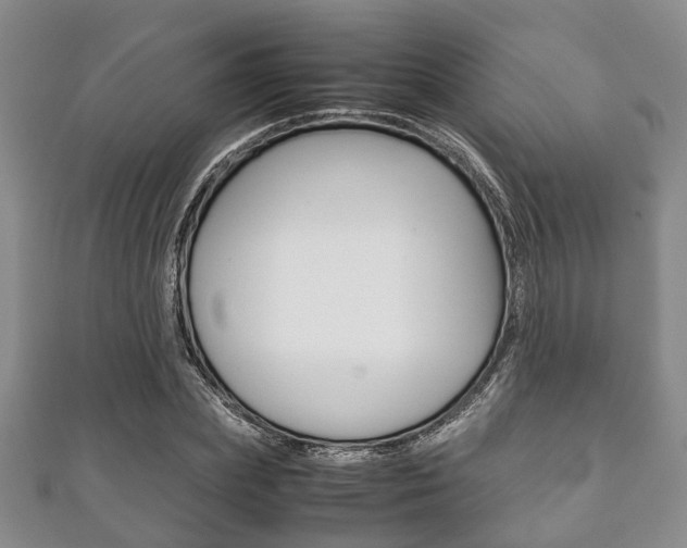 X0000111920831200907271007