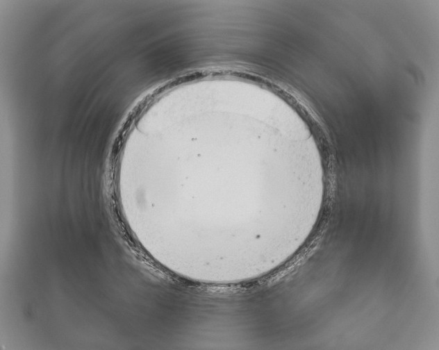 X0000111920832200907271007