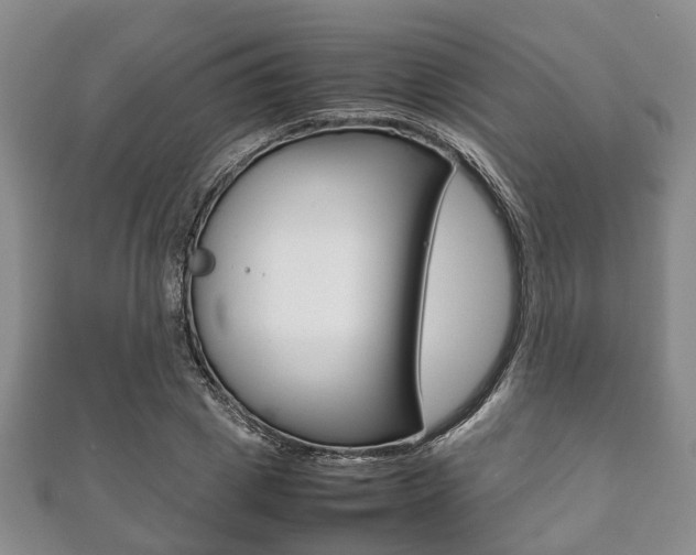 X0000111920833200907271007