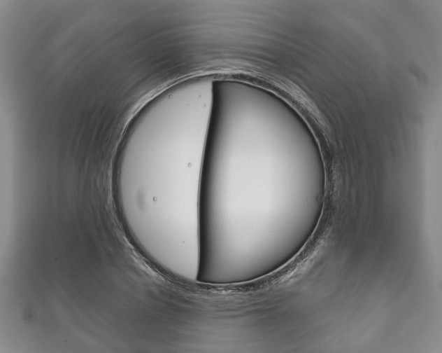 X0000111920834200907271007
