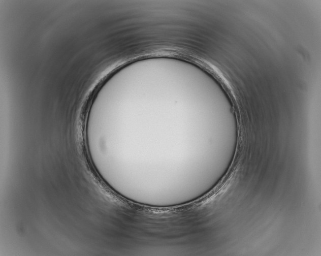 X0000111920835200907271007