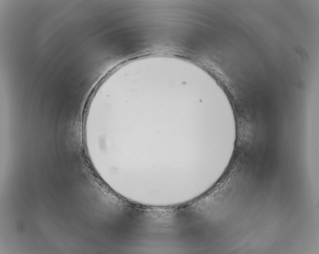 X0000111920836200907271007