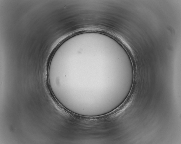 X0000111920837200907271007