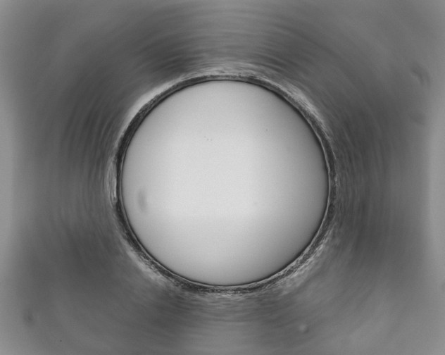 X0000111920838200907271007