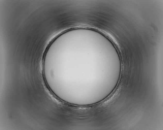 X0000111920839200907271007