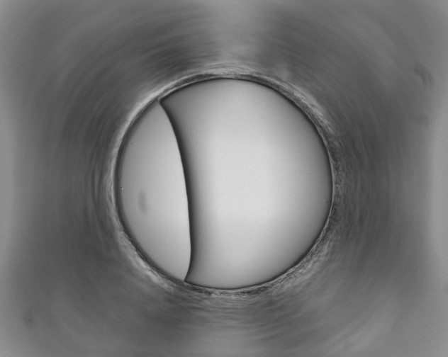X0000111920840200907271007