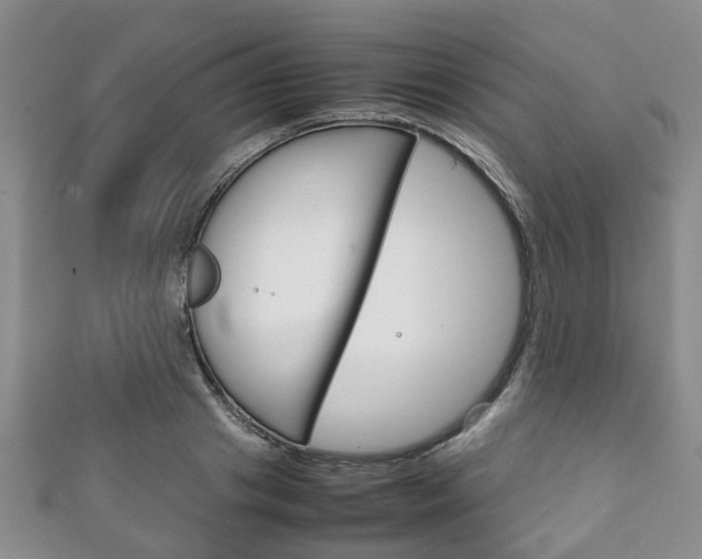 X0000111920841200907271007