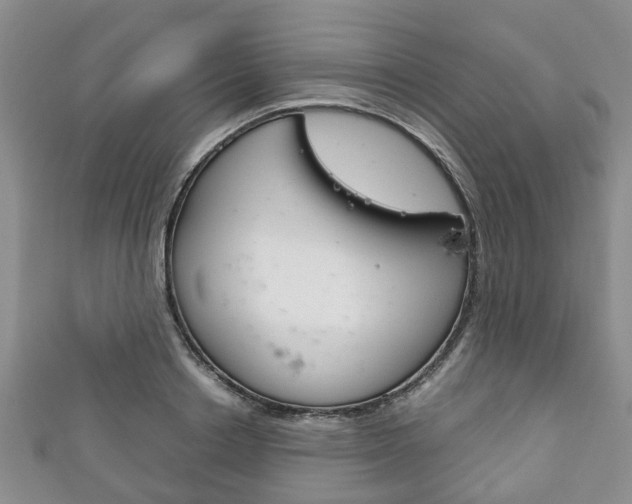 X0000111920842200907271007