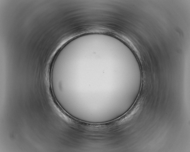 X0000111920843200907271007