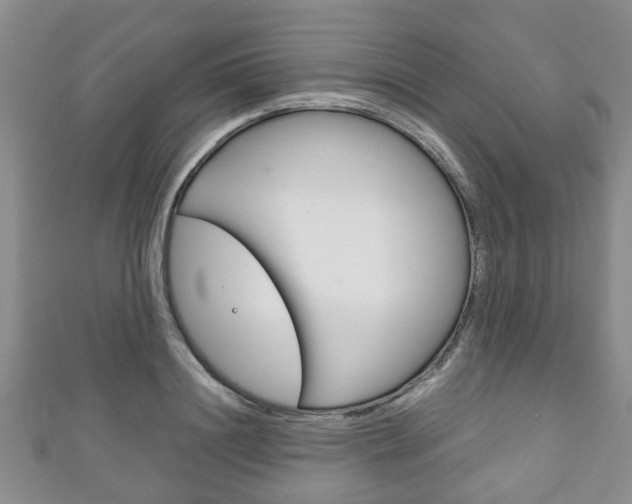X0000111920844200907271007