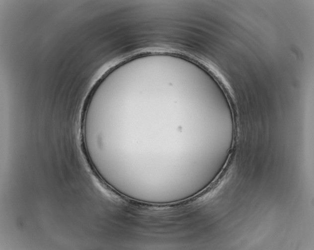 X0000111920845200907271007