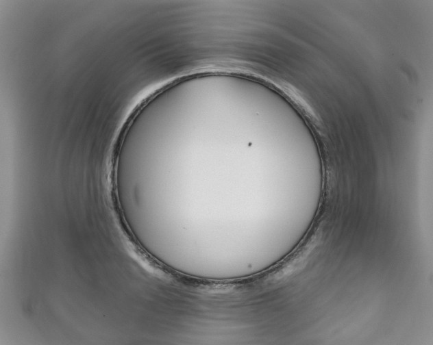 X0000111920846200907271007