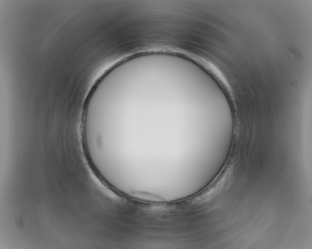 X0000111920847200907271007