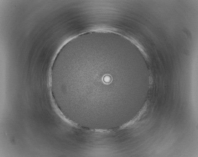 X0000111920848200907271007