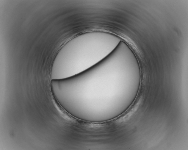X0000111920849200907271008