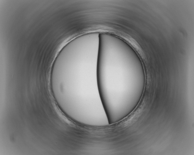 X0000111920850200907271008