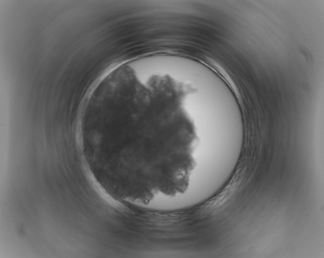 X0000111920851200907271008