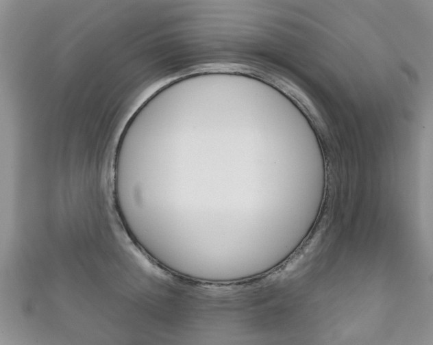 X0000111920852200907271008