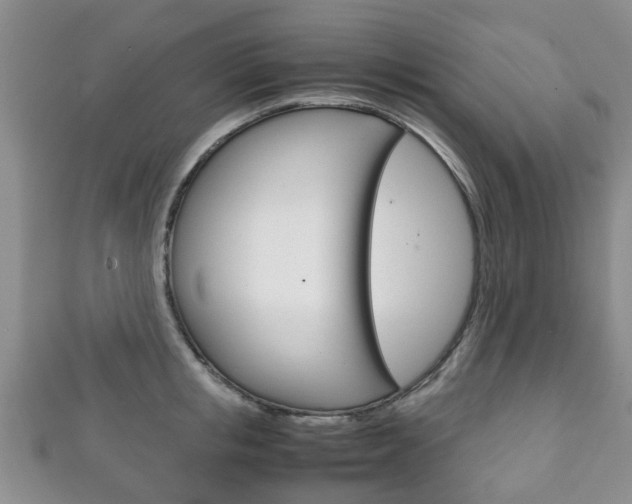 X0000111920853200907271008
