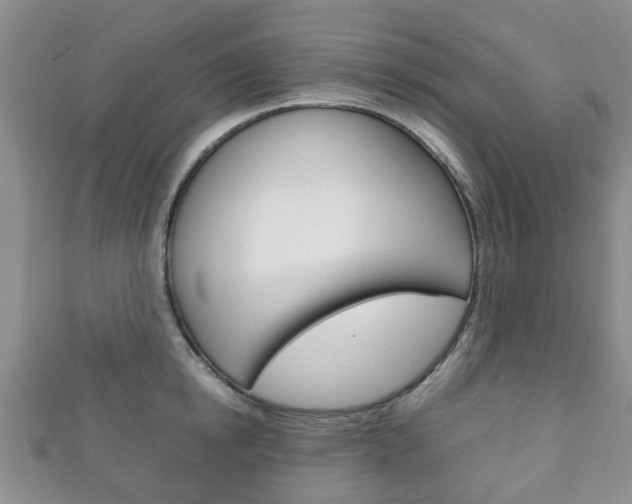 X0000111920854200907271008