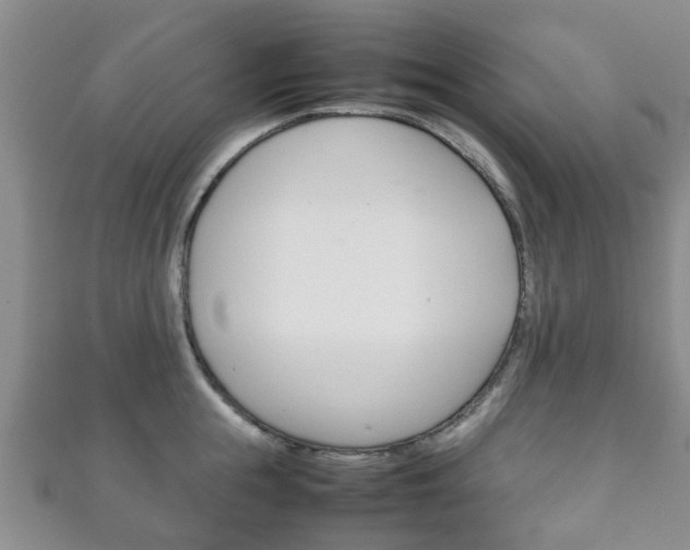 X0000111920855200907271008