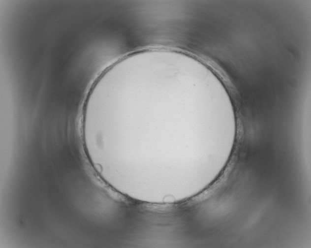 X0000111920856200907271008