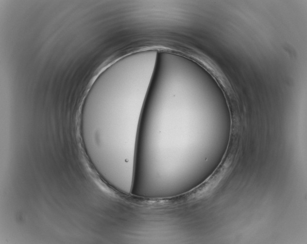 X0000111920858200907271008