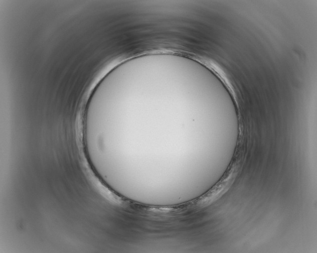 X0000111920859200907271008