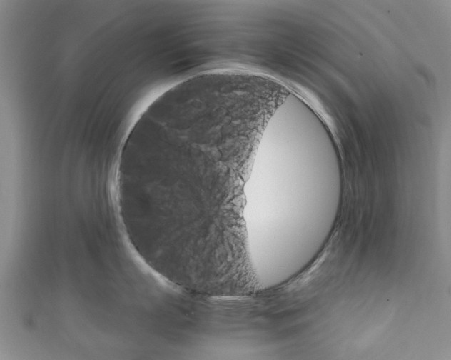 X0000111920863200907271008