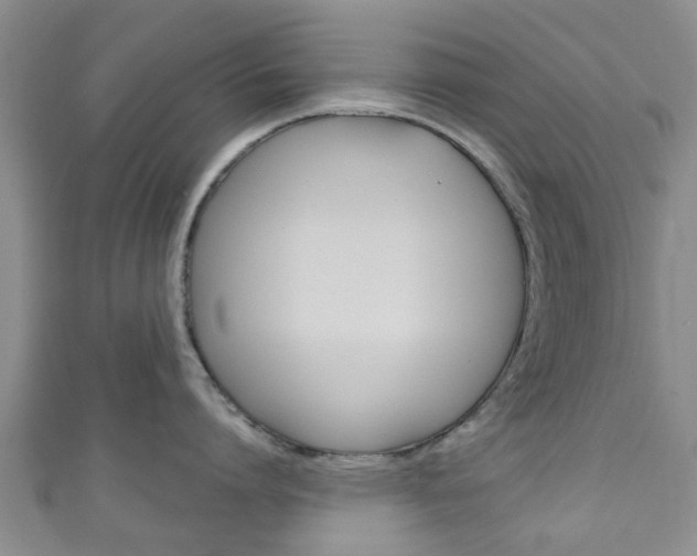 X0000111920864200907271008