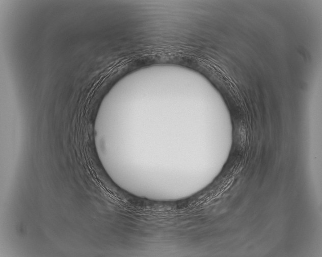 X0000111920865200907271007