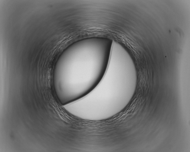 X0000111920868200907271007