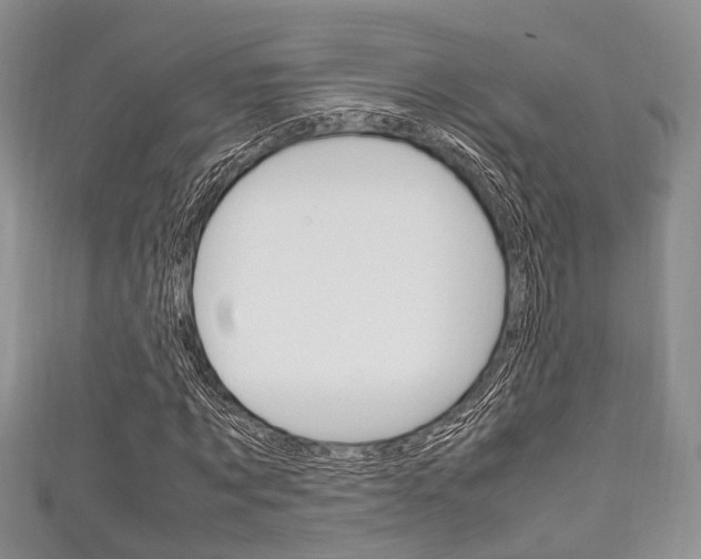 X0000111920869200907271007