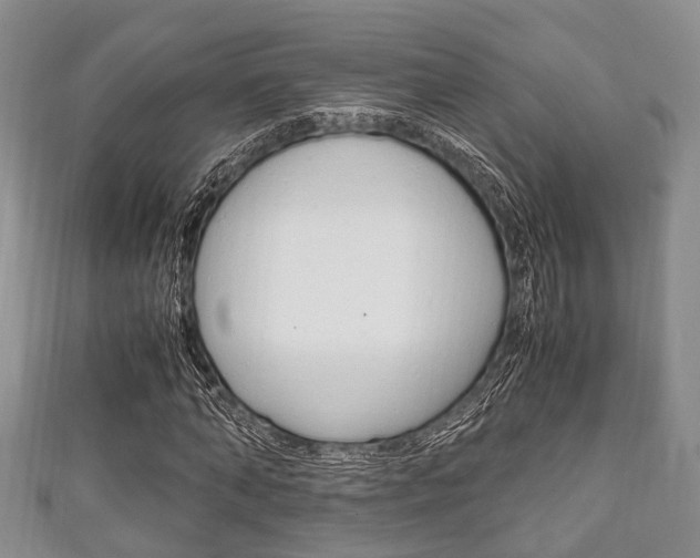 X0000111920870200907271007
