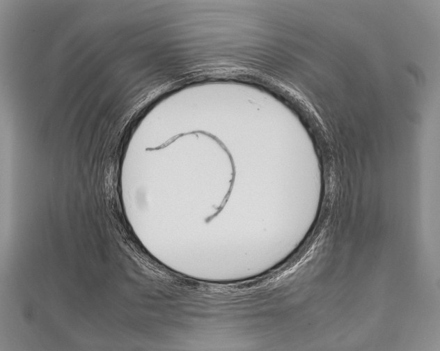 X0000111920873200907271007