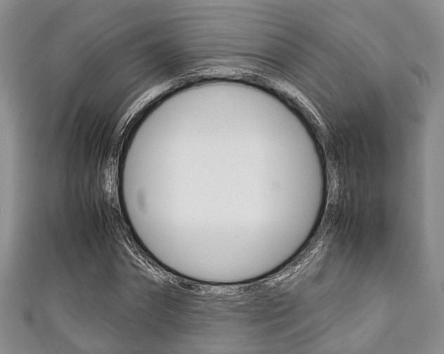 X0000111920874200907271007