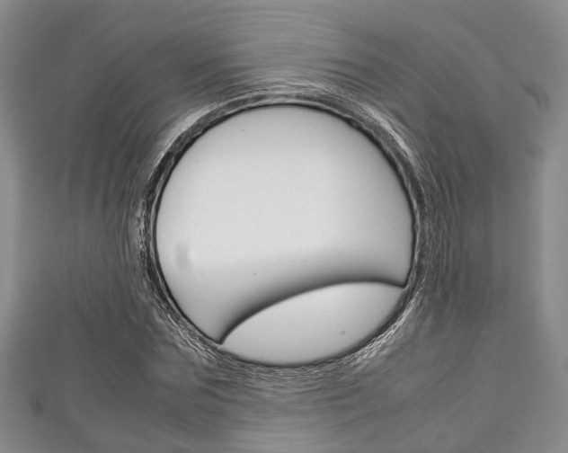 X0000111920875200907271007