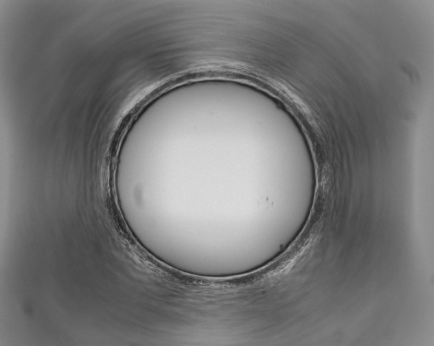 X0000111920877200907271007