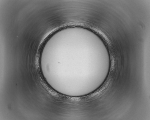 X0000111920878200907271007