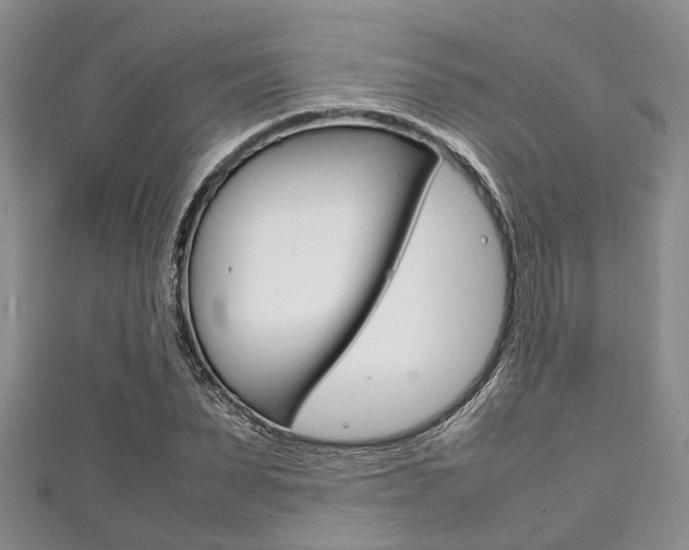 X0000111920879200907271007