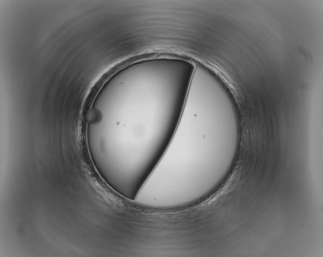 X0000111920880200907271007
