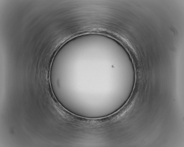 X0000111920881200907271007