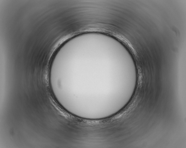 X0000111920882200907271007
