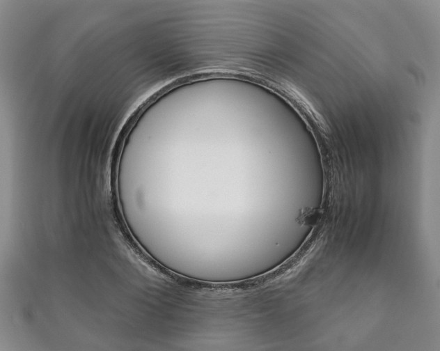 X0000111920884200907271007